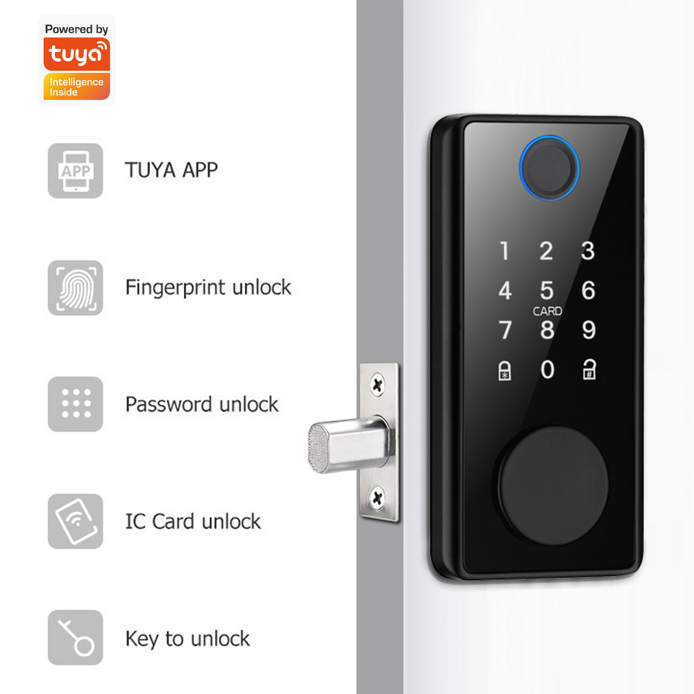 Tuyaアプリ対応、リモコン操作可能なドアロック。鍵と指紋認 - Smart Home Door Lock のレビューと価格
